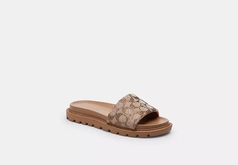 Footwear / Shoes